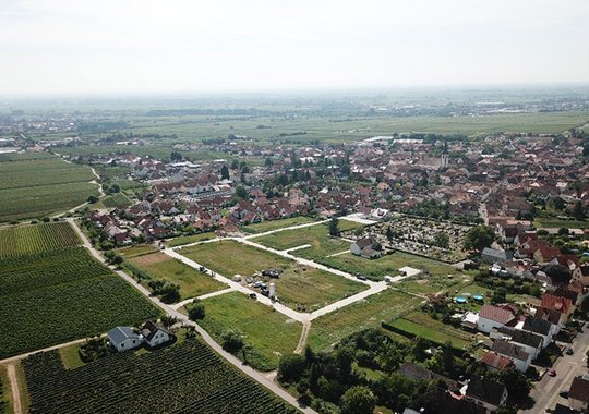 Maikammer Luftbild