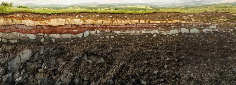 Querschnitt durch den Boden mit sichtbaren Erdschichten, Gestein und Humus unter einer grünen Landschaft